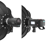 RimeLite SMDV SoftBox Australia - Arahan Photo