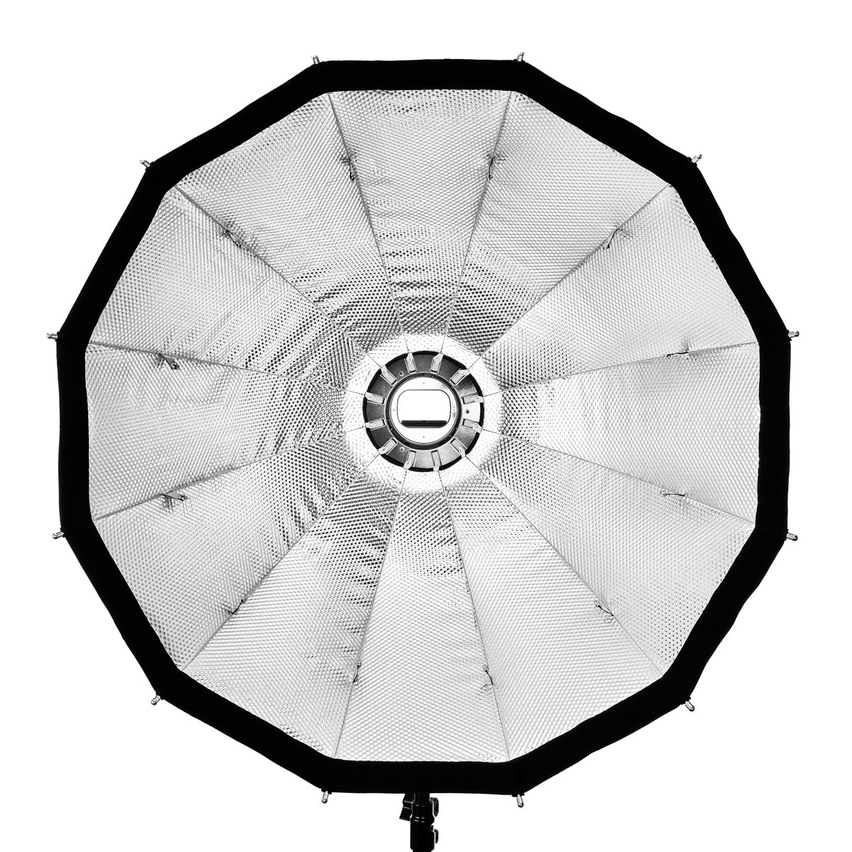 RimeLite SMDV SoftBox Australia - Arahan Photo